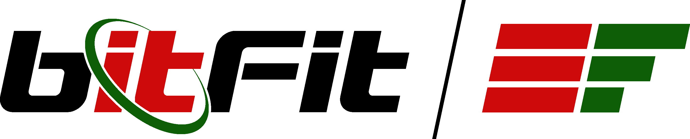 bitFit logo
