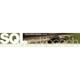 SQL Workbench logo