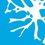 Brainspace Augmented Intelligence logo