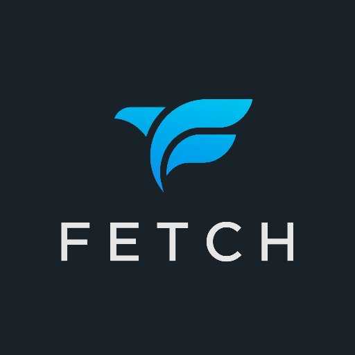 Fetch logo