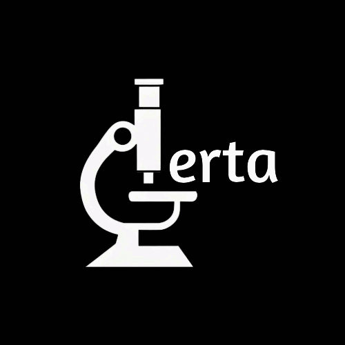 Lerta logo