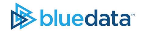 BlueData EPIC logo