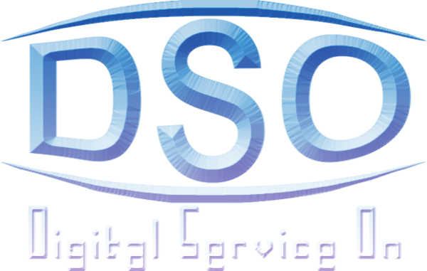 DSO School 2.0 logo