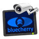 Bluecherry VS logo
