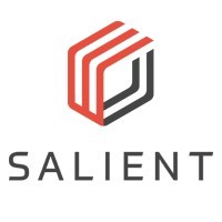 Salient Systems logo